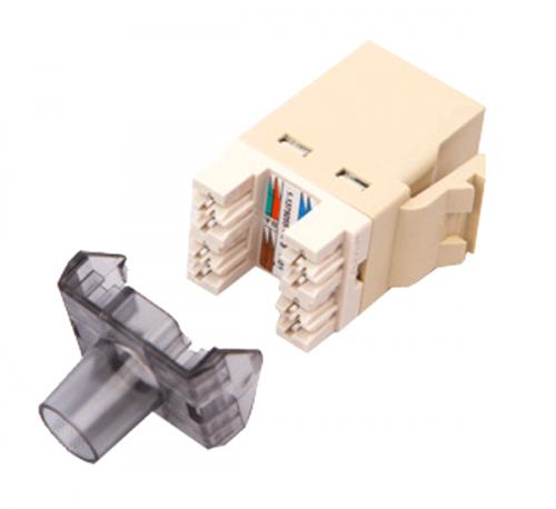 Nhân mạng AMP cat5