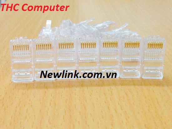 Newlink cung cấp hạt mạng chính hãng AMP