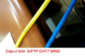 Cáp mạng SINO CAT7A S/FTP cao cấp