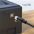 Cáp máy in USB 2.0 dài 3 mét VegGieg V-U206 cao cấp