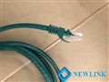 Dây mạng 0,3M Cat6 NewLink màu xanh lá NL-1001FGR