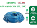 Dây mạng 15M Cat6 UTP NewLink NL-10051FBL đầu đúc cao cấp