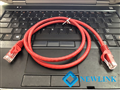 Dây mạng 1M Cat6 Newlink màu đỏ (Red) NL-1003FRD đầu đúc cao cấp