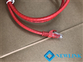 Dây mạng 1M Cat6 Newlink màu đỏ (Red) NL-1003FRD đầu đúc cao cấp