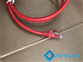 Dây mạng 2M Cat6 UTP NewLink NL-1007FRD màu đỏ (Red) đầu đúc cao cấp