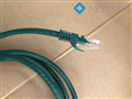 Dây mạng cat6 1,5M NewLink màu xanh lá NL-1005FGR