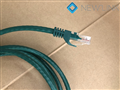 Dây mạng cat6 3M NewLink màu xanh lá NL-10010FGR
