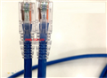 Dây nhẩy đồng COMMSCOPE CAT6, 4pair, Stranded U/UTP, CM, Blue, 1,5M (5 Ft) NPC06