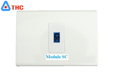 Bộ wallplate modul quang chuẩn SC lắp âm tường