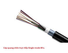 Cáp quang chôn trực tiếp Single mode 8Fo cao cấp