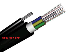 Cáp quang treo single mode phi kim loại 24 sợi (24 core,24FO)	