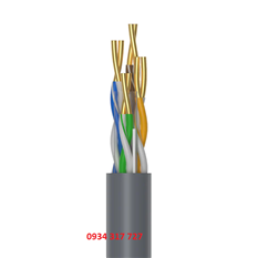 Dây Cáp mạng UTP 100m Cat5e 0.48BC UNITEK C18129AGY xám  cao cấp