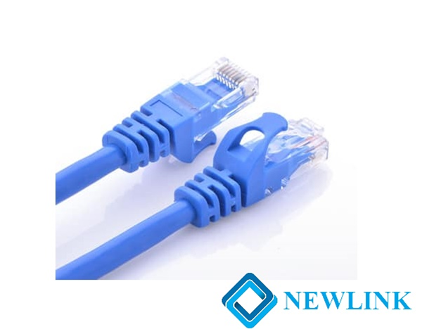 Dây mạng 40M Cat6 UTP Newlink NL-100136FBL đầu đúc tốc độ 1Gb cao cấp