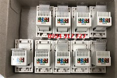 ổ mạng âm tường Cat6 SINO S18CC31RJ6