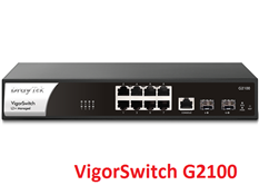 Vigor Switch G2100